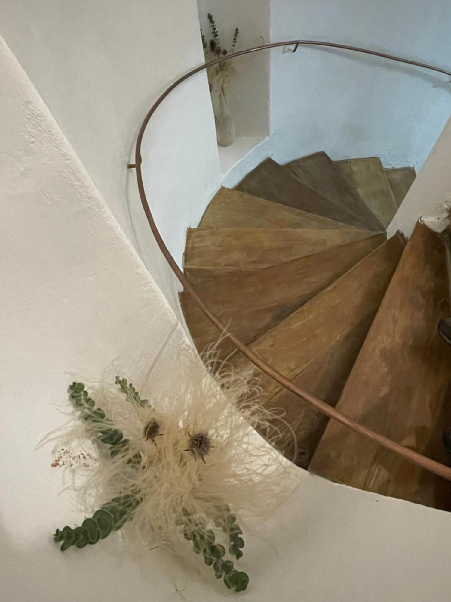 Cozy Stay Brassó Kültér fotó